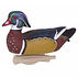 Flambeau Storm Front 2 Classic Floater Wood Duck Decoys - 6 Pack