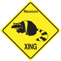KC Creations Raccoon XING Sign
