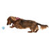 West Paw Design Zogoflex Jive Dog Ball Chew Toy
