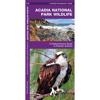 Acadia National Park Wildlife by James Kavanagh