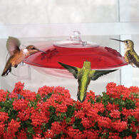 Droll Yankees Window Hummer 3 Hummingbird Bird Feeder