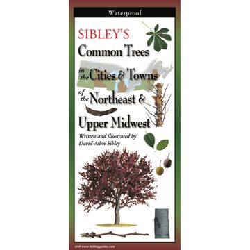 Sibley’s Common Trees in the Cities & Towns of the Northeast & Upper Midwest: FoldingGuides