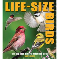 Life-Size Birds: The Big Book of North American Birds by Nancy J. Hajeski