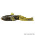 Savage Gear 3D Goby Tube Lure - 6 Pk.