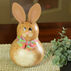 Meadowbrooke Gourds Kaylee Small Bunny Gourd
