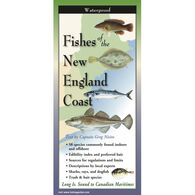 Fishes of the New England Coast: FoldingGuides