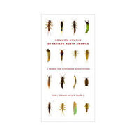 Common Nymphs Of Eastern North America: A Primer For Flyfishers and Flytiers by Caleb J. Tzilkowski & Jay R. Stauffer Jr.