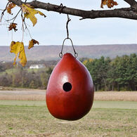 Meadowbrooke Gourds Red Bungalow Birdhouse