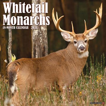 Willow Creek Press Whitetail Monarch Deer 2023 Wall Calendar