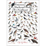 Peterson's Backyard Birds of the Northeast Poster