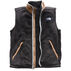 The North Face Mens Campshire Vest