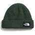 The North Face Mens Salty Lined Beanie