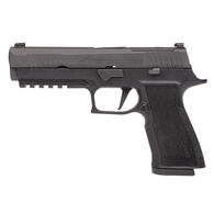 SIG Sauer P320-XTEN 10mm 5" 15-Round Pistol w/ 2 Magazines