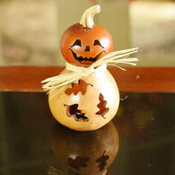 Meadowbrooke Gourds Dexter Miniature Jack-O'-Lantern