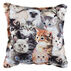 Paine Products 6 x 6 Cats Balsam Pillow