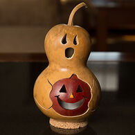 Meadowbrooke Gourds Spooky Boo Miniature Gourd