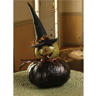 Meadowbrooke Gourds Fiona Medium Witch