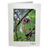 Lori A. Davis Photo Card - Barred Owl