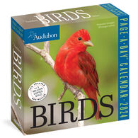 Audubon Birds 2024 Page-A-Day Calendar by National Audubon Society
