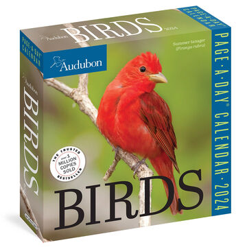 Audubon Birds 2024 Page-A-Day Calendar by National Audubon Society