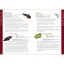 Insects & Bugs for Kids: An Introduction to Entomology by Jaret C. Daniels