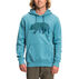 The North Face Mens TNF Bear Pullover Hoodie - Past Season