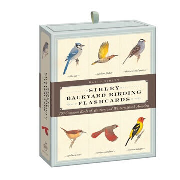 Sibley Backyard Birding Flashcards: 100 Common Birds Of Eastern And Western North America by David Allen Sibley