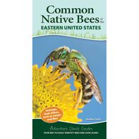 Common Native Bees of the Eastern United States by Heather Holm