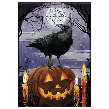 Carson Home Accents Fright Night Garden Flag