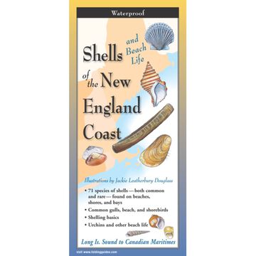 Shells and Beach Life of the New England Coast: FoldingGuides