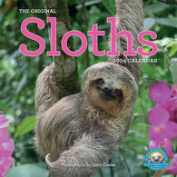 The Original Sloths 2024 Wall Calendar by Lucy Cooke