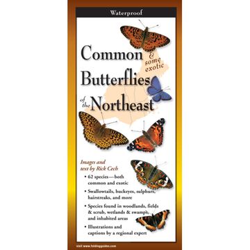 Common Butterflies of New England: FoldingGuides