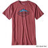 Patagonia Mens Fitz Roy Crest Cotton/Poly Short-Sleeve T-Shirt