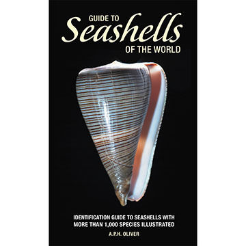 Guide to Seashells of the World by A. Oliver