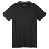 SmartWool Mens Merino Sport 150 Short-Sleeve T-Shirt
