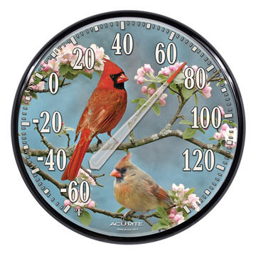 AcuRite 12.5 Cardinals Thermometer