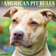 Willow Creek Press Just American Pit Bull Terriers 2023 Wall Calendar