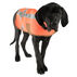 Carhartt Dog Safety Vest