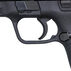 Smith & Wesson M&P380 Shield EZ 380 Auto 3.675 8-Round Pistol