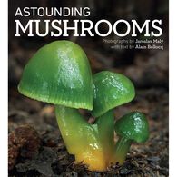 Astounding Mushrooms by Alain Bellocq