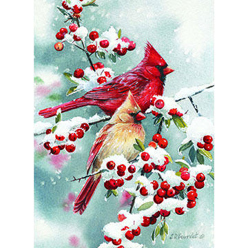 LPG Greetings Cardinal Couple In Snow Boxed Christmas Cards