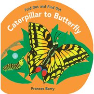Caterpillar to Butterfly: Fold Out and Find Out by Frances Barry