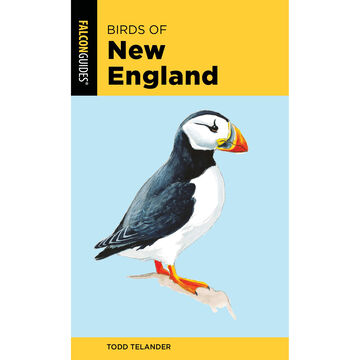 Birds of New England, 2nd Edition by Todd Telander