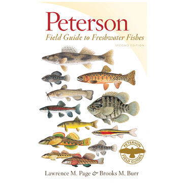Peterson Field Guide To Freshwater Fishes by Lawrence M. Page & Brooks M. Burr