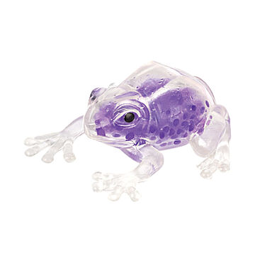 Schylling Squish The Frog Squeeze Toy