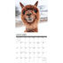 Willow Creek Press Alpacas 2024 Wall Calendar