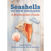 Seashells of New England: A Beachcomber's Guide by Sandy Allison
