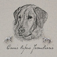 Semaki & Bird, Ltd. Women's Sterling Silver Dog Earring