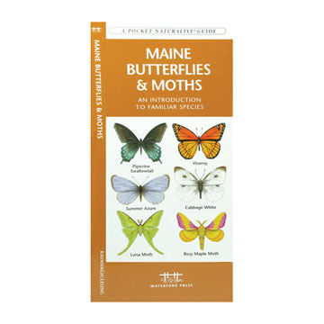 Maine Butterflies & Moths by James Kavanagh