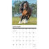 Willow Creek Press Horse Feathers 2024 Wall Calendar